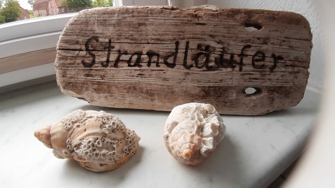 Ferienwohnung in Lütjenbrode - Residence Strandläufer - Bild 14