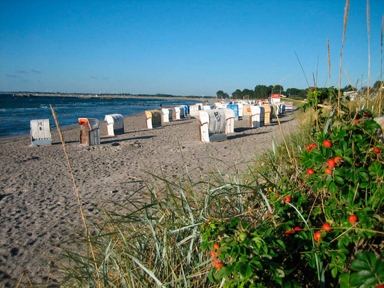 Ferienhaus in Großenbrode - Rother - Bild 10