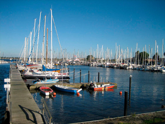 Ferienhaus in Großenbrode - Rother - Bild 11