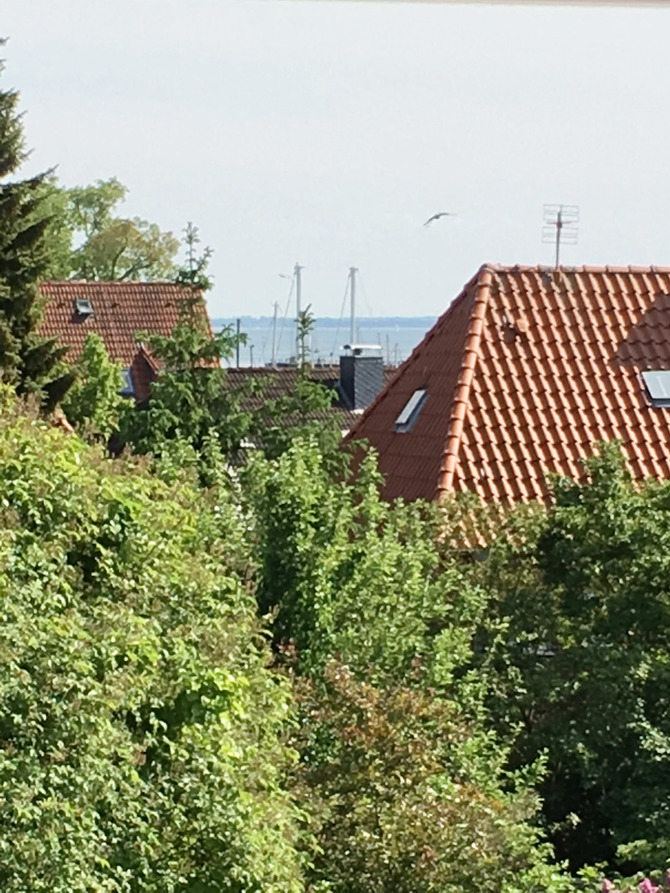 Ferienwohnung in Neustadt - Möwennest - Bild 7