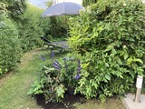 Ferienwohnung in Kühlungsborn - Strandstrasse-OstSeegarten - Der Garten