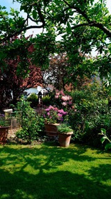 Ferienhaus in Eckernf&ouml;rde - R&uuml;cker - Bild 19