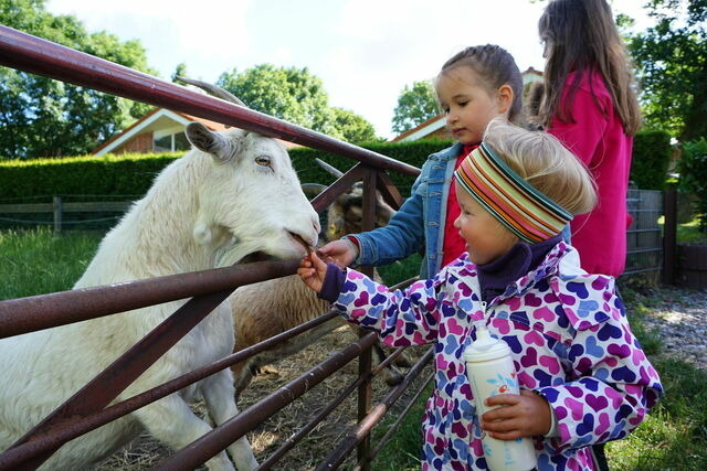 Ferienhaus in Fehmarn OT Wenkendorf - "Ferienhof Hinz" - Ferienhaus Hofkieker - Bild 25