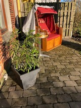 Ferienhaus in Fehmarn OT Fehmarnsund - Ferienhaus 'Lotsenhaus' Fehmarnsund - mit Garten - Bild 5