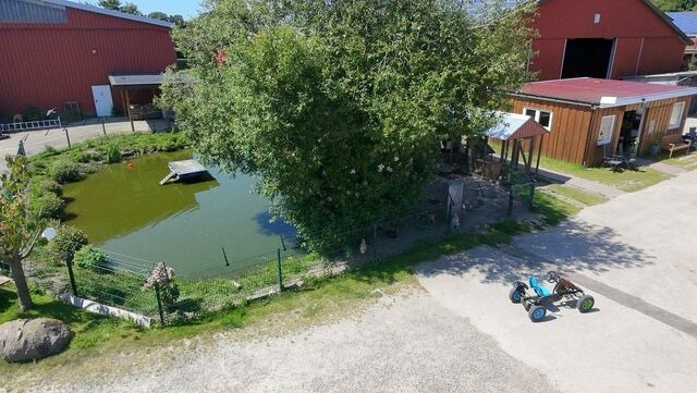 Ferienhaus in Fehmarn OT Sahrensdorf - "Bauernhof-Claussen", Haus Möwe - Bild 22