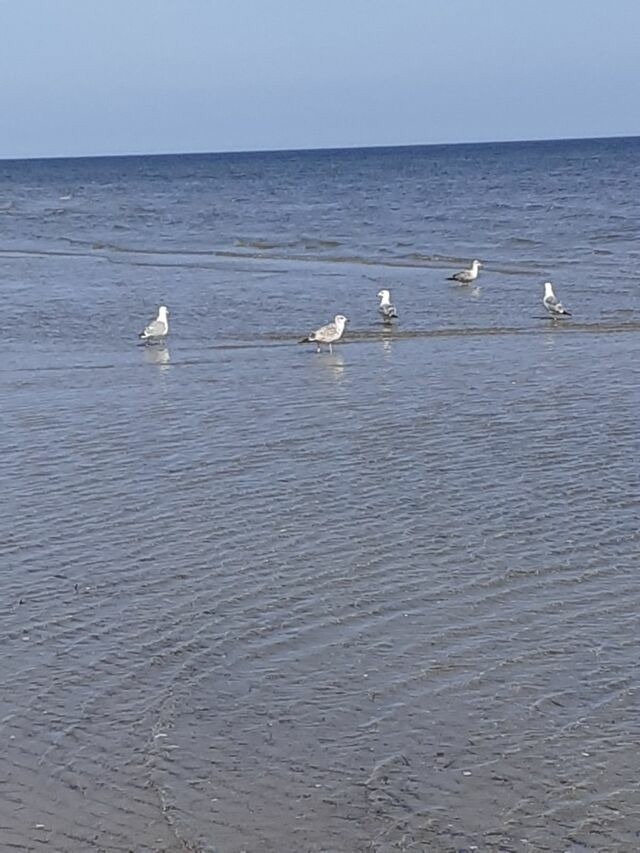Ferienwohnung in Karlshagen - ferienwohnung k&ouml;ster - Bild 20