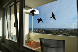 Paulsen, Torsten: Ferien-Appartement ( Nr. 1114 )