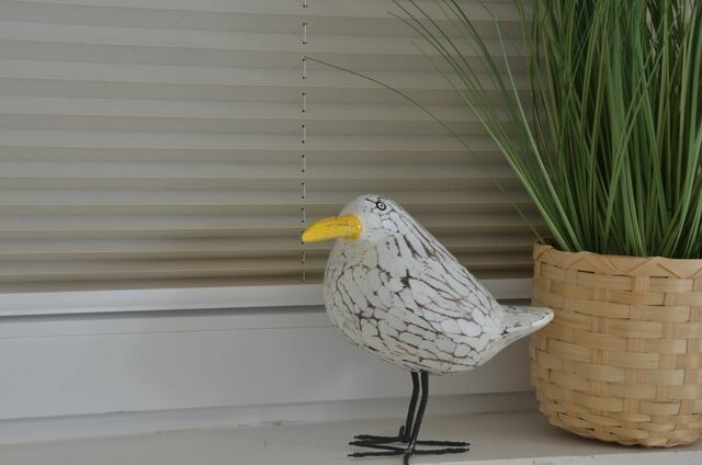 Ferienwohnung in Ostseeheilbad Zingst - Strandperle 9, PP außen - Bild 9