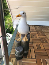 Ferienwohnung in Ostseeheilbad Zingst - Brückendeck App. 3 - Bild 18