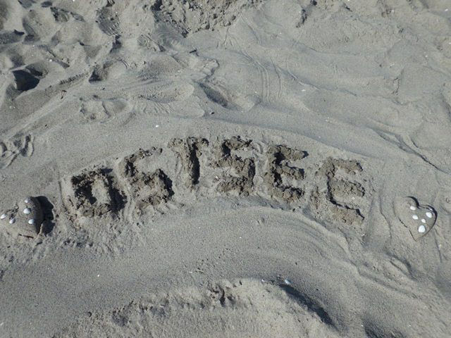 Ferienwohnung in Ostseeheilbad Zingst - Villa Morgentied, FW 7 - Bild 15