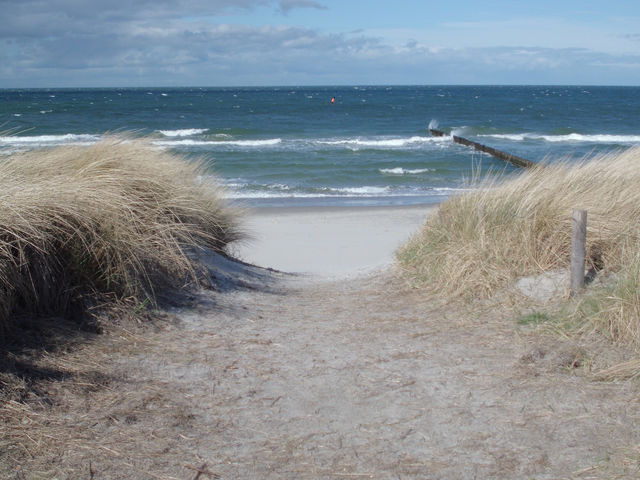 Ferienwohnung in Ostseeheilbad Zingst - Villa Morgentied, FW 7 - Bild 17
