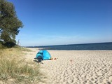 Ferienwohnung in Sierksdorf - Robbe - Bild 19