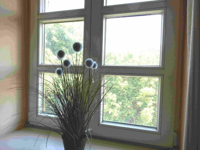 Ferienwohnung in Bakenberg - Ferienparadies Rugana A08 - Bild 5