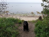 Ferienwohnung in Gollwitz - Ostsee-Schwänchen II - Bild 11