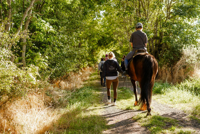 Ferienhaus in Fehmarn OT Staberdorf - Alte Schule 6 - Bild 25
