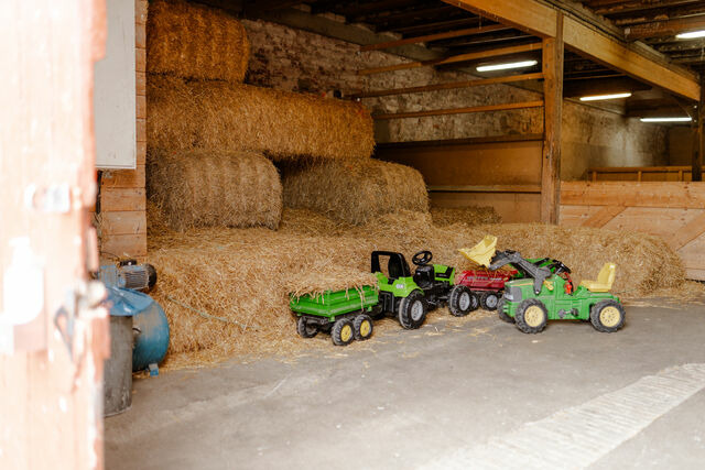 Ferienwohnung in Fehmarn OT Staberdorf - Achter de Höf Whg. 2 - Bild 21
