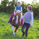 Ferienwohnung in Fehmarn OT Wenkendorf - Ferienhof Marquardt Fewo Sperlingsh&ouml;h - Bild 14