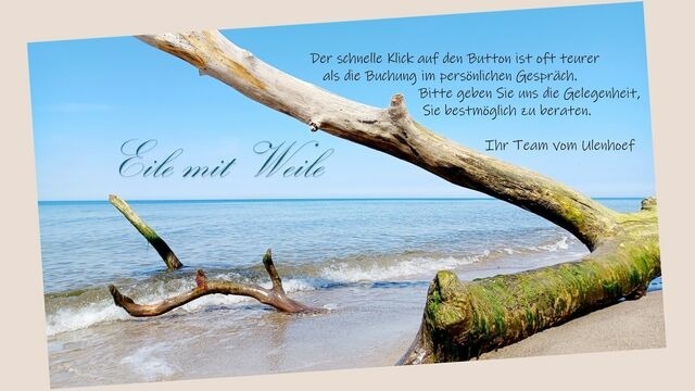 Ferienwohnung in Prerow - FeWo Ahorn - Ulenhoef - Bild 8