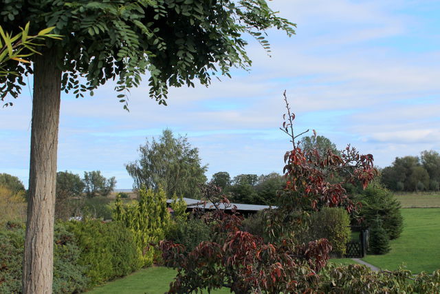 Ferienwohnung in D&auml;ndorf - Alte G&auml;rtnerei App. Akazie - Bild 21