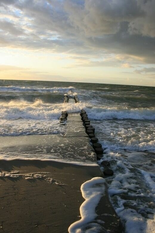 Ferienwohnung in Born a. Darß - Ferienwohnung Nr. 07 (OG + Spitzboden) - Bild 21
