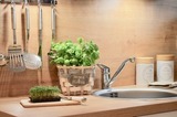 Ferienwohnung in Zingst - Villa Strandblick 9 - Bild 16