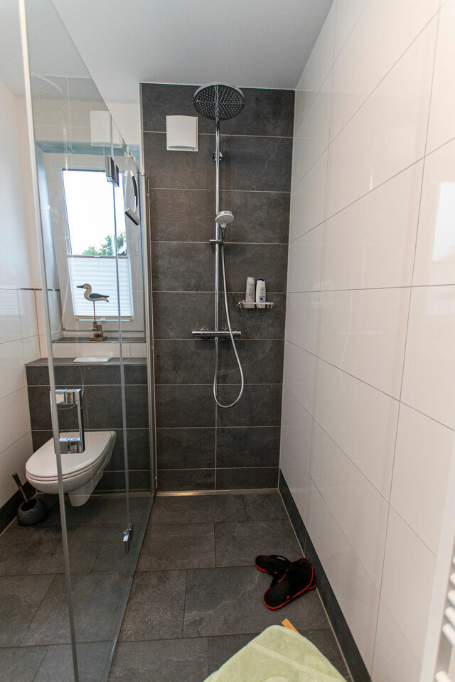 Ferienwohnung in Ostseeheilbad Zingst - Möövkieker - Whg. 3 - Bild 15