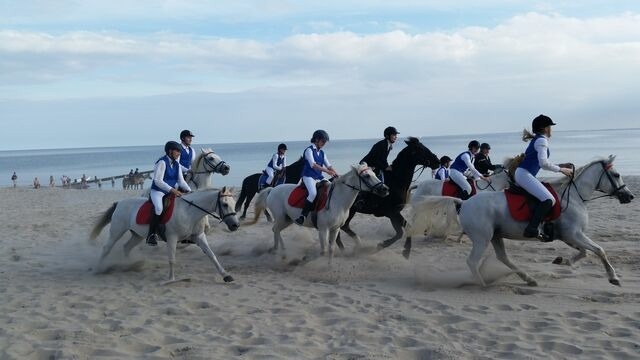 Ferienwohnung in Kellenhusen - Rosa Canina, W4 - Bild 18