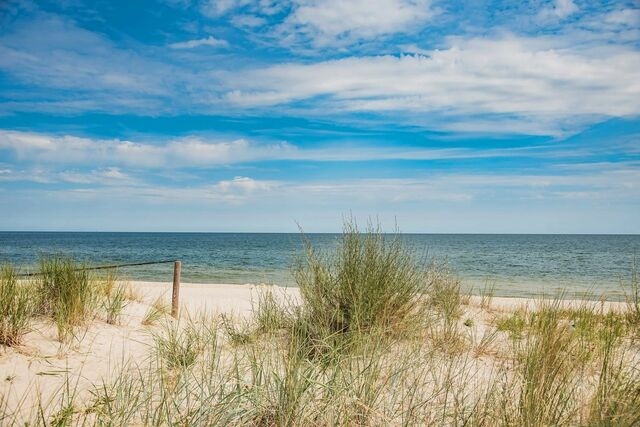 Ferienhaus in &Uuml;ckeritz - Kormoran - Bild 23