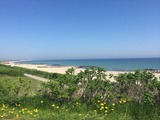 Ferienhaus in Brodersby - Poolhaus Ostsee - Bild 23
