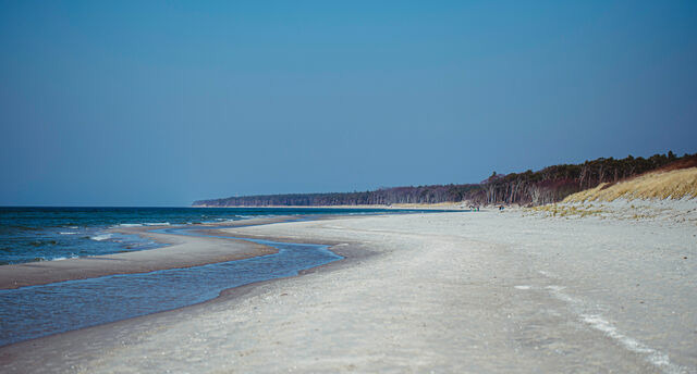 Ferienwohnung in Ahrenshoop - Strandliebe 2 - Bild 10