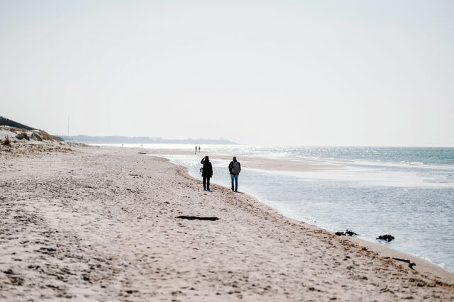 Ferienwohnung in Ahrenshoop - Stranddistel 4 - Bild 10