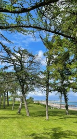 Ferienwohnung in Brodersby - Ferien am Strand, Urlaub an der Ostsee Ferienwohnung am Strand in der Nähe der Schlei, Umgebung von Kappeln u. Damp - Bild 13