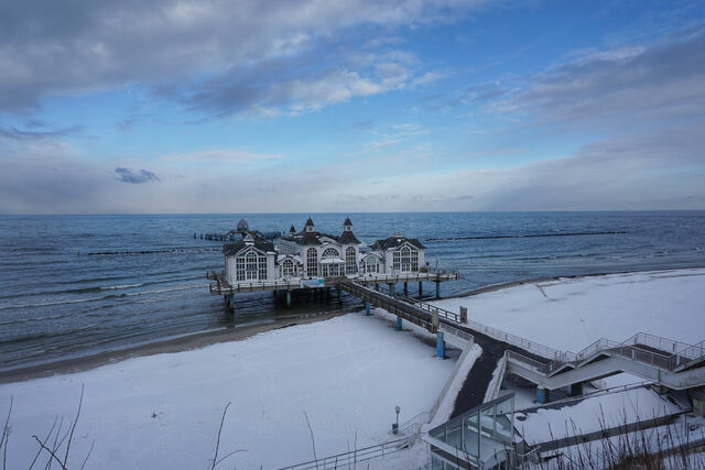 Ferienwohnung in Sellin - Fische - Sellin - Bild 19