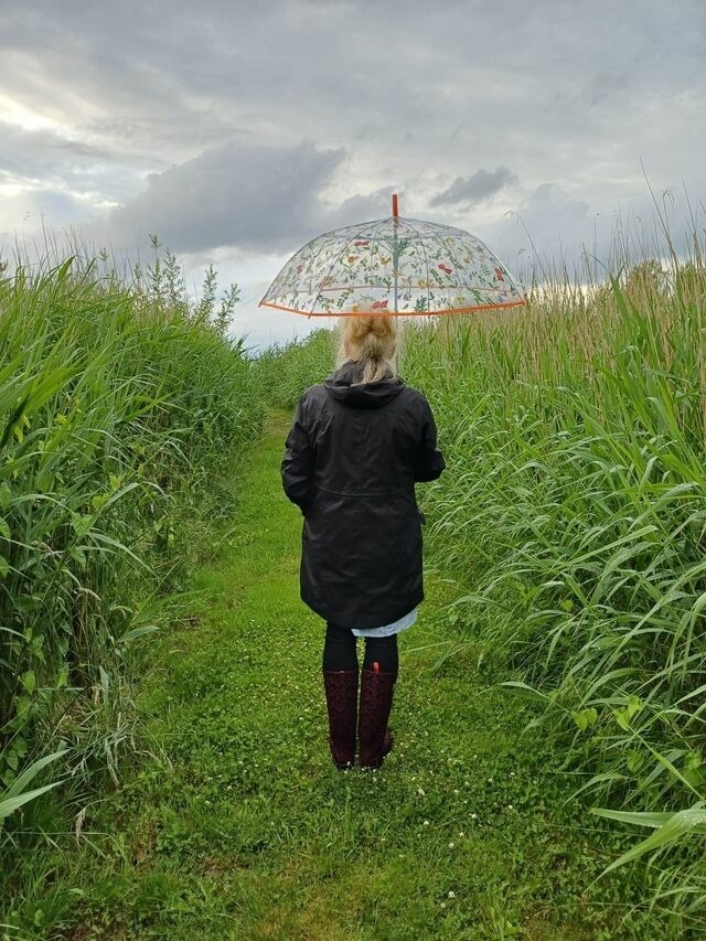 Ferienwohnung in Fuhlendorf - Boddenzauber - Bild 23