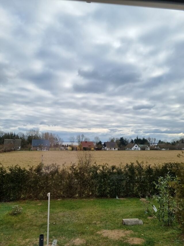 Ferienwohnung in Lütow - Ferienhaus Köhler Am Walde incl. Bootsvermietung/ Urlaub mit Hund - Bild 11