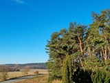 Ferienwohnung in Lütow - Ferienhaus Köhler Am Walde incl. Bootsvermietung/ Urlaub mit Hund - Bild 12
