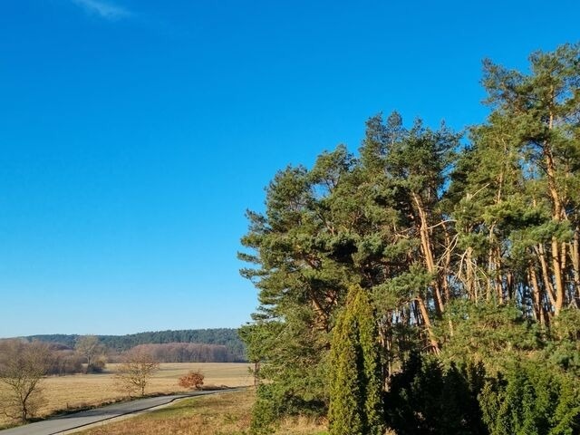 Ferienwohnung in Lütow - Ferienhaus Köhler Am Walde incl. Bootsvermietung/ Urlaub mit Hund - Bild 12