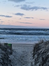 Ferienwohnung in Lütow - Ferienhaus Köhler Am Walde incl. Bootsvermietung/ Urlaub mit Hund - Bild 14