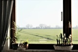 Ferienwohnung in Cismar - Ferienwohnung Oetken - Blick aufs Feld vom Wohnbereich