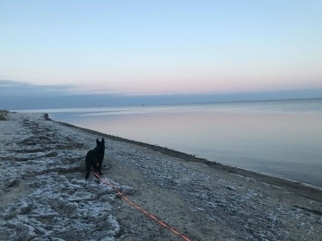 Ferienwohnung in Gahlkow - Strandperle 2 - Bild 18