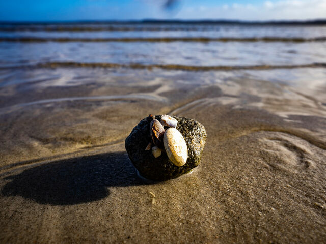 Ferienhaus in Gl&uuml;cksburg - Ferienhaus "Villa Meerblick" - Bild 23