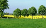 Ferienwohnung in Rieseby - Gut Büchenau - Ferienwohnung Meeresbrise - Bild 18