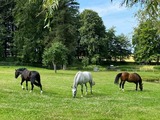 Ferienwohnung in Rieseby - Gut Büchenau - Ferienwohnung Meeresbrise - Bild 22