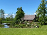 Ferienwohnung in Rieseby - Gut Büchenau - Ferienwohnung Meeresbrise - Bild 23