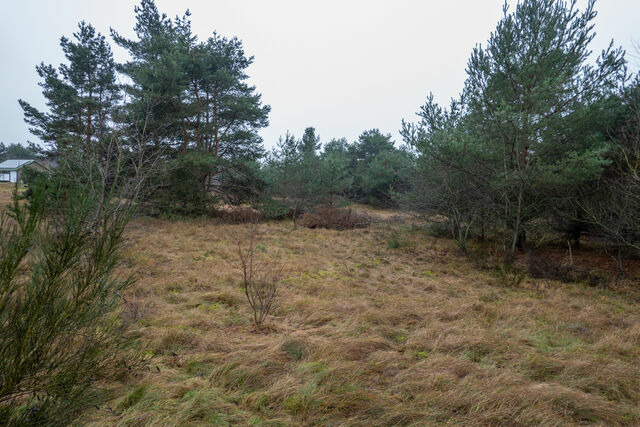 Ferienhaus in Pruchten - Bodden Paradise Cottage - Bild 25