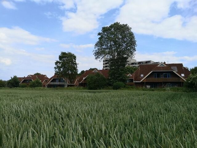 Ferienwohnung in Dahme - Jacobihof Haus 15 Wohnung 04 - Bild 3