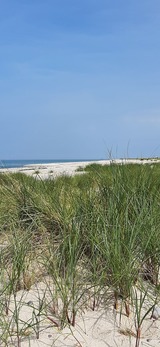Ferienhaus in Fehmarn OT Gammendorf - Küstenliebe-Fehmarn - Niobe Strand Düne