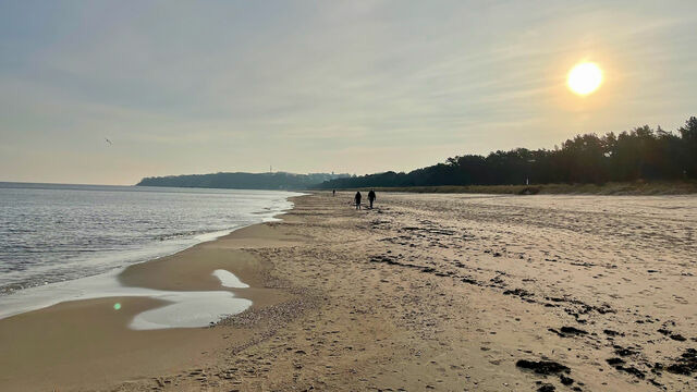 Ferienhaus in Baabe - Meeresblume - Baabe - Bild 21