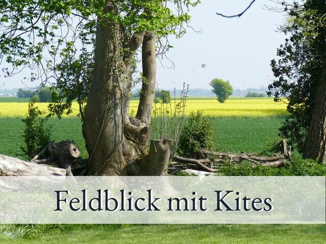 Ferienwohnung in Fehmarn OT Sulsdorf - Hirschfeld Hus Whg 1 - Bild 10