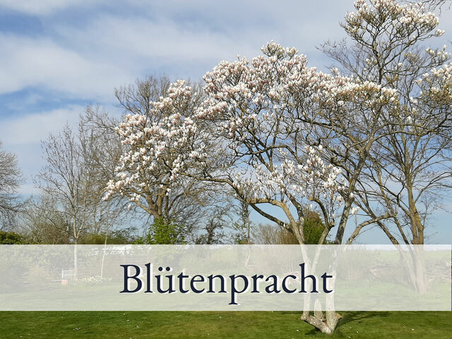 Ferienwohnung in Fehmarn OT Sulsdorf - Hirschfeld Hus Whg 1 - Bild 14